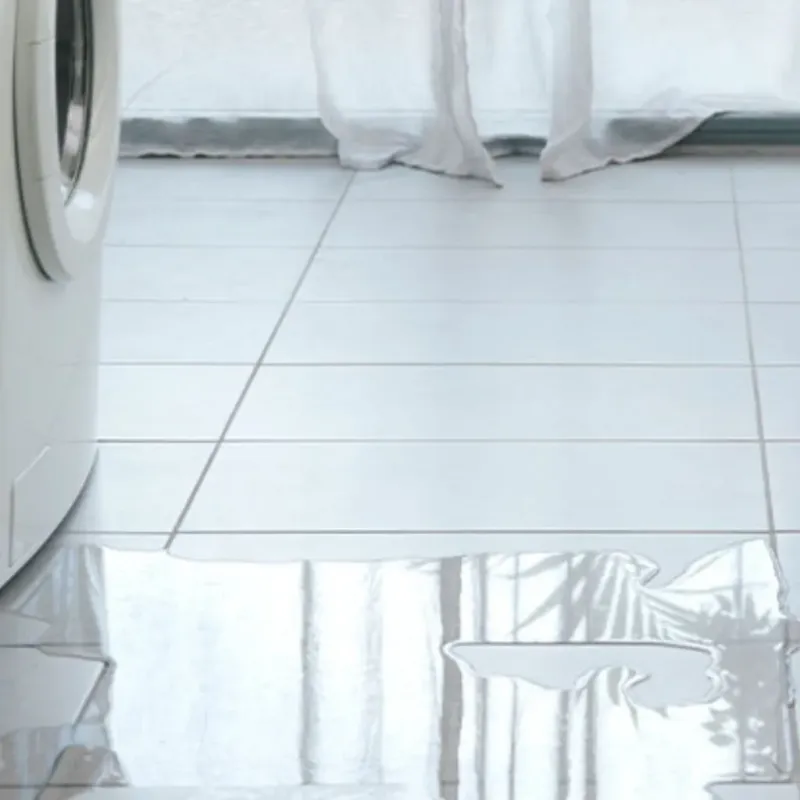 Appliance Leak Cleanup in Auburn, GA